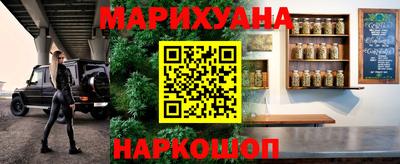 бошки Славгород