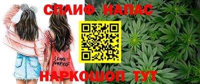 Альфа ПВП Славянск-на-Кубани