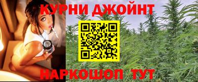 Альфа ПВП Славянск-на-Кубани
