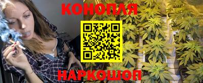 бошки Славгород