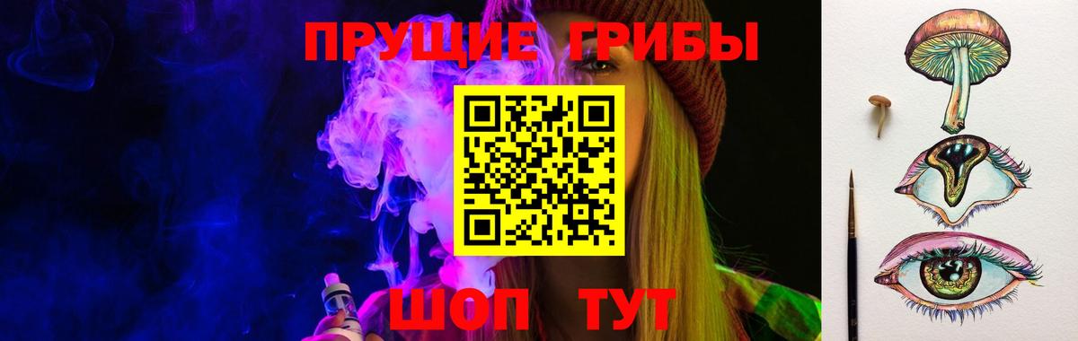 Галлюциногенные грибы GOLDEN TEACHER  Вход с VPN  наркота  Новозыбков  Псилоцибиновые грибы мухоморы 