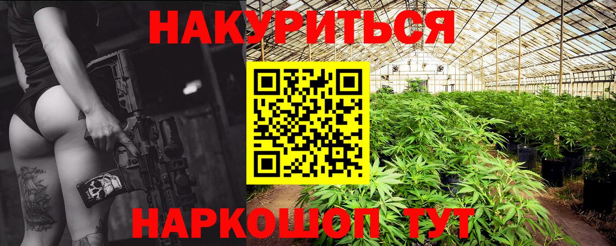 Каннабис планчик Новозыбков